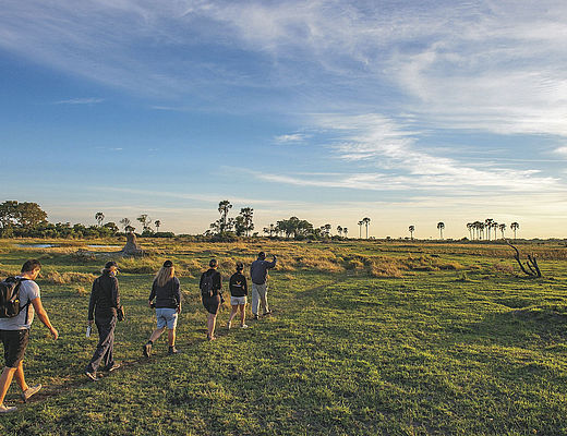 Rondreizen in Botswana | Impala Tours