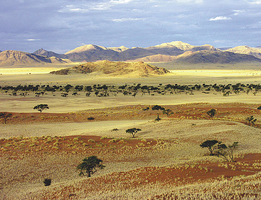 Namibië Namib Desert