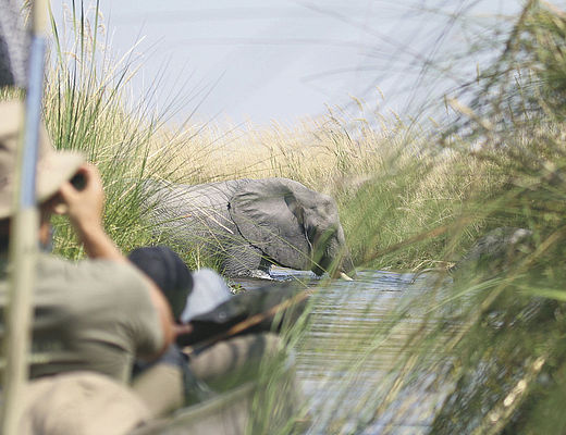 Okavango Delta | Impala Tours