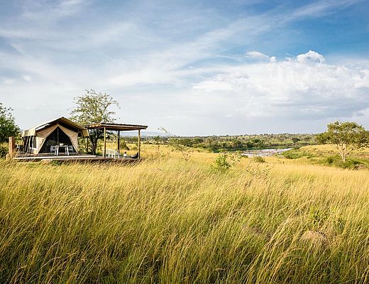 Singita Mara River Tented Camp | Impala Tours