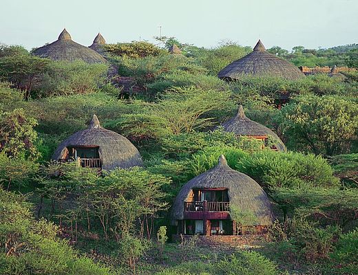 Serengeti Serena Lodge | Impala Tours