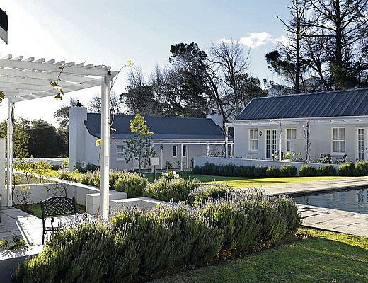 Lavender Farm Guest House | Impala Tours