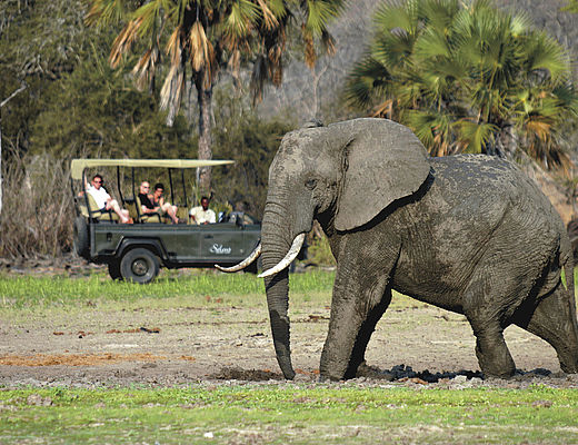 Fly-in Selous en Ruaha N.P. | Impala Tours