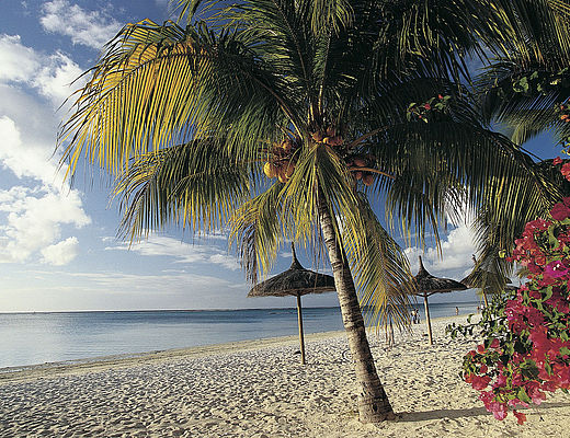 Mauritius | Impala Tours