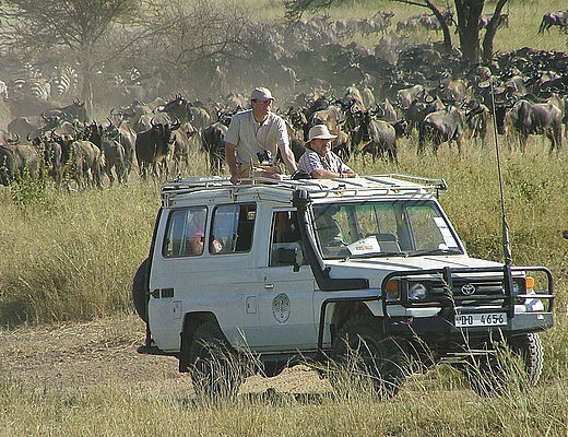 Safari in style | Impala Tours