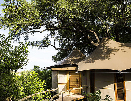 Little Mombo Camp | Impala Tours