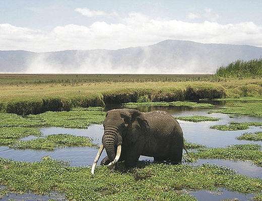 Noordelijk Tanzania | © Tanganyika Expeditions