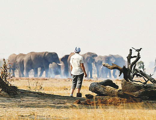 Safari Botswana | vakantie Botswana