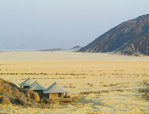 Wolwedans Collection | Impala Tours