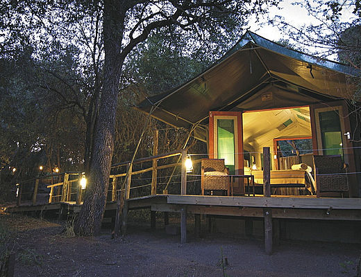 Mashatu Tented Camp | Impala Tours