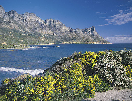 Panoramaroute naar Hermanus | Impala Tours