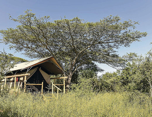 Zululand Lodge | Impala Tours
