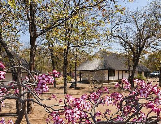 Restcamps in het Krugerpark | Impala Tours