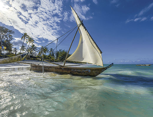 Zanzibar | Impala Tours