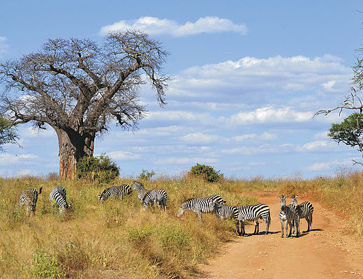 Groepsreizen in Tanzania | Impala Tours