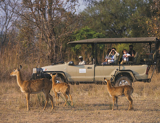 Groepsreizen in Zambia | Impala Tours