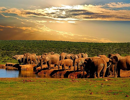 Autorondreizen in Zuid-Afrika | Impala Tours