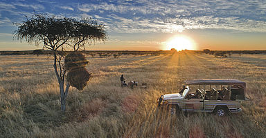 Safari in Namibië