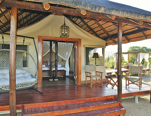 Safari Plains | Impala Tours