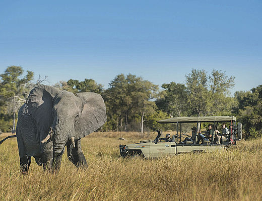 Vakantie Botswana Ga Op Rondreis Of Safari In Botswana Klik Hier