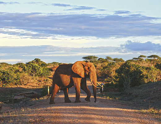 Van Nairobi naar de kust | Impala Tours