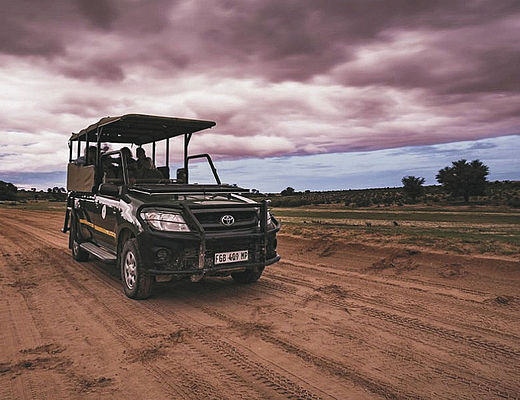 Kgalagadi Transfrontier Park | vakantie Botswana