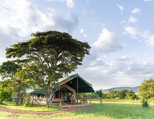 Little Governors Tented Camp | Impala Tours