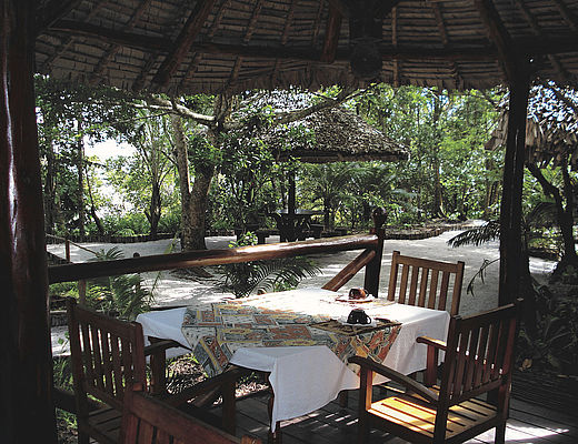 Le Palmarium | Impala Tours