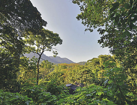 Binnenlandse vluchten in Oeganda | Impala Tours