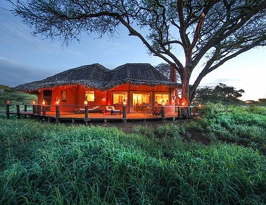 Tawi Lodge | Impala Tours