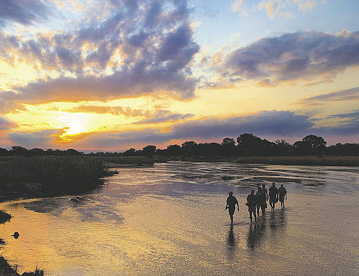 Sanctuary Fly-In safari met exclusieve wandelingen | Impala Tours