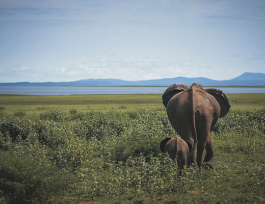 Rondreizen in Zimbabwe | © Natalie Jennings
