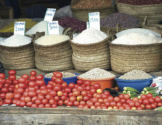 Excursies en dagtours | Impala Tours