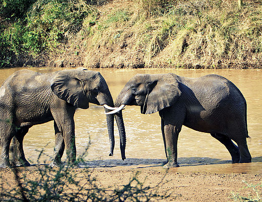 Ontdekkingsreis door Mozambique | Impala Tours