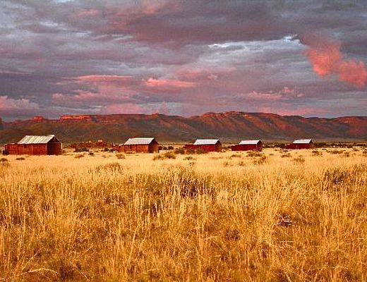 A Little Sossus Lodge | Impala Tours