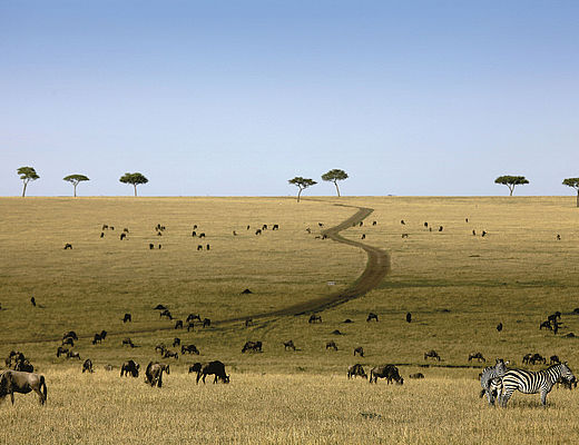 Ontdekkingstocht van noord naar zuid | Impala Tours