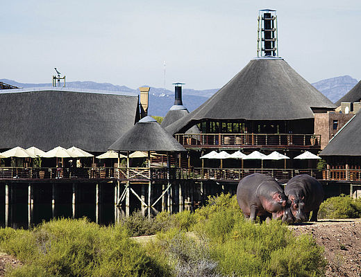 Buffelsdrift Game Lodge | Impala Tours