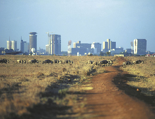Nairobi en omgeving | Impala Tours