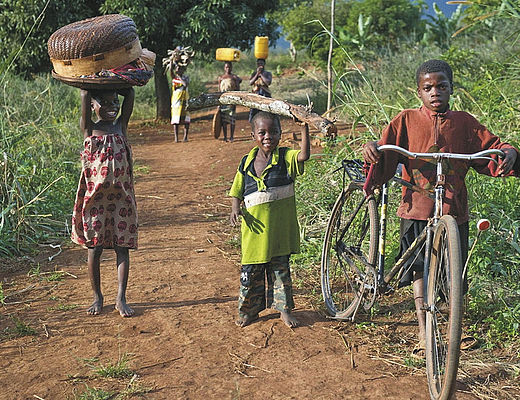 Individuele maatwerkreizen in Mozambique | Impala Tours