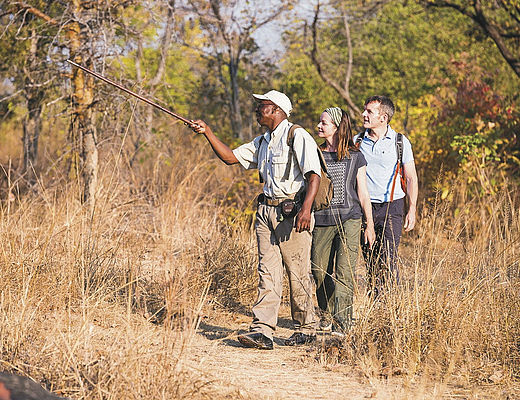Individuele Reizen in Zambia | Impala Tours