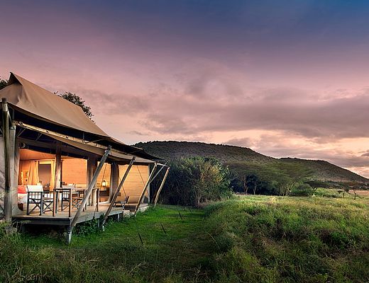 Kichwa Tembo Tented Camp | Impala Tours