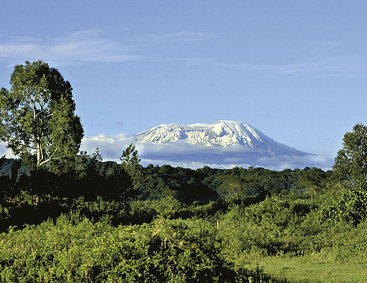 Kilimanjaro Trekking 8 dagen | Impala Tours