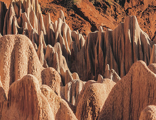 Het Noorden van Madagaskar | Impala Tours