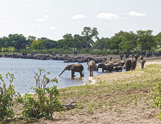Bwabwata National Park | ©roederphotoqraphy