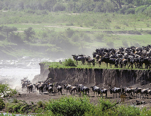 Individuele reizen in Tanzania | Impala Tours