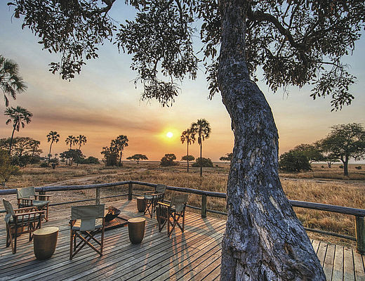 Rondreizen Tanzania | Impala Tours