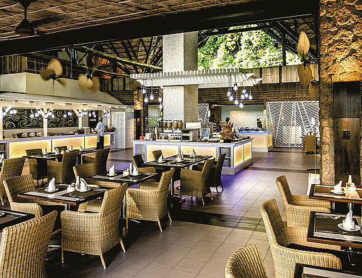 Paradise Sun | Impala Tours