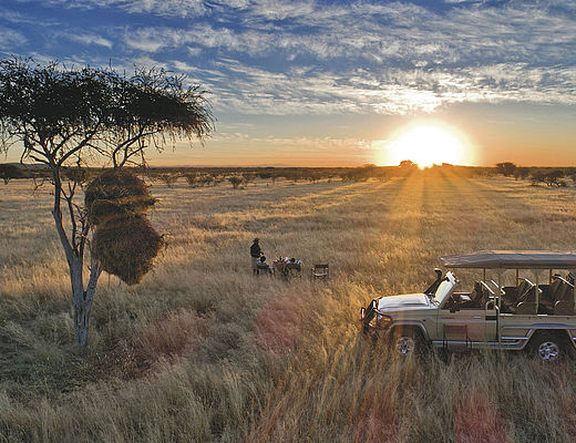 Noordwesten van Namibië | Impala Tours