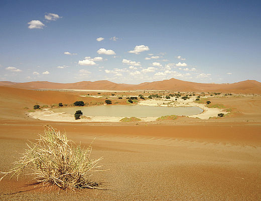 Sossusvlei | rondreizen in Namibië