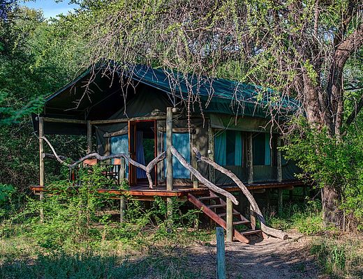Royal Tree Lodge | Impala Tours